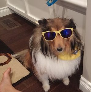 Meet your Posher, Tamara